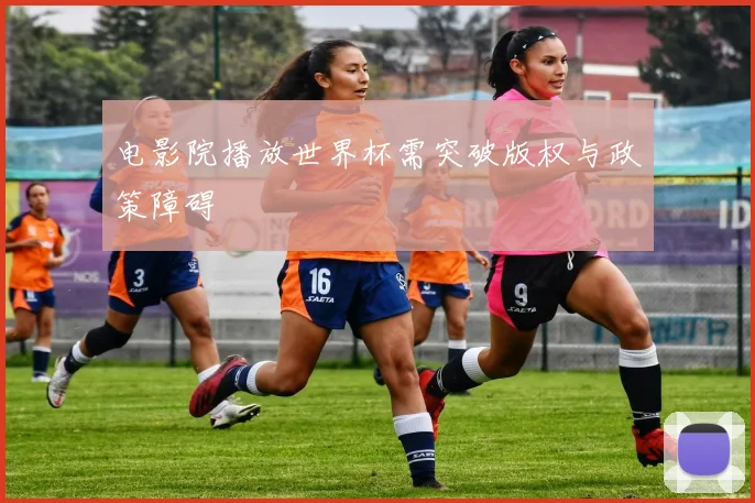 电影院播放世界杯需突破版权与政策障碍