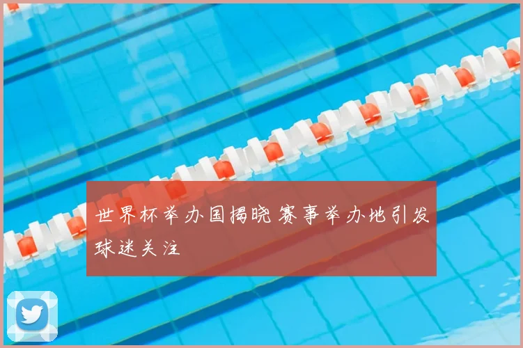世界杯举办国揭晓 赛事举办地引发球迷关注