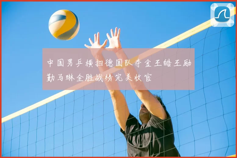 中国男乒横扫德国队夺金王皓王励勤马琳全胜战绩完美收官